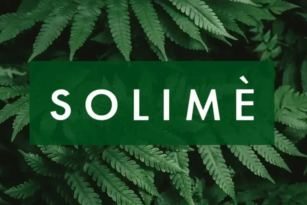 Solimè auf Blättern